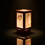 Rotating Lamp With Red Plastic